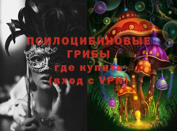 дмт Козельск