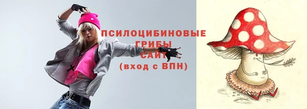 дмт Козельск
