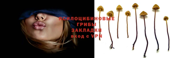 прущий лед Кодинск