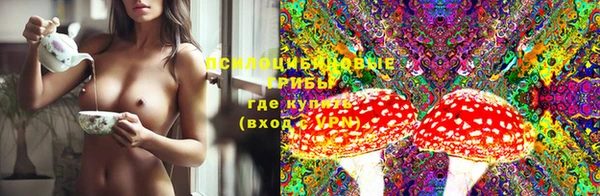 дмт Козельск