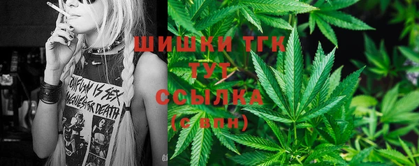 прущий лед Кодинск