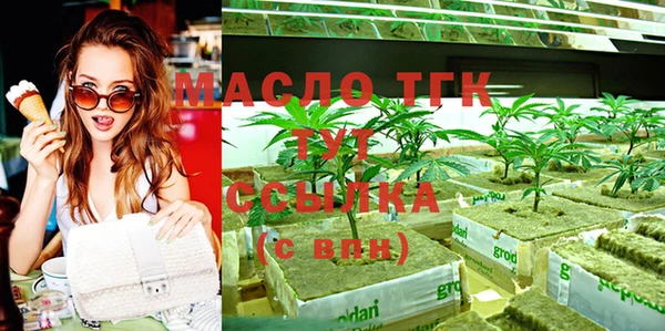 дмт Козельск