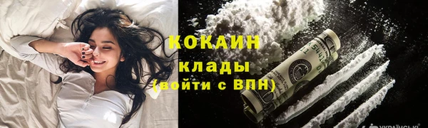 дмт Козельск